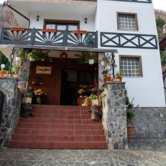 Casa Albert Sinaia Thumbnail