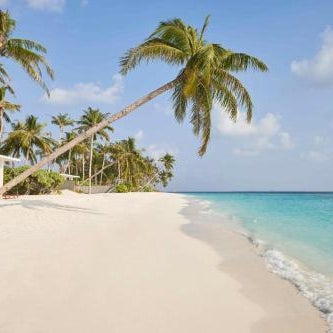 Siyam World Maldives - 24-Hour Premium All-inclusive with Free Transfer Thumbnail