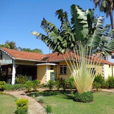 The Clarice House Thumbnail