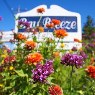 Bay Breeze Resort Thumbnail