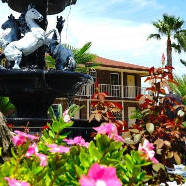 Savannah Inn and Suites Savannah Port Area Thumbnail