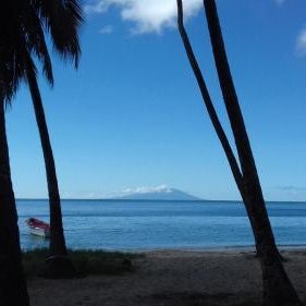 Palm View Thumbnail