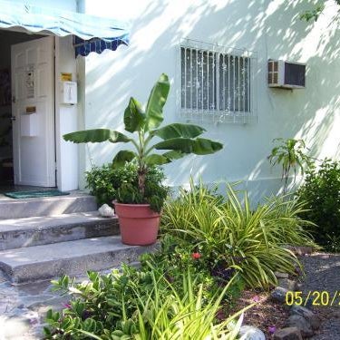 The Green Iguana Hotel Thumbnail