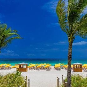 Royal Palm South Beach Miami, A Tribute Portfolio Resort