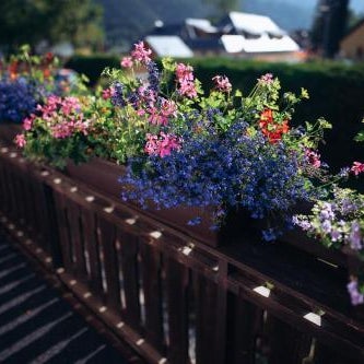 B&B Brezov Gaj Thumbnail