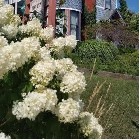 The Inn at Ludington Thumbnail