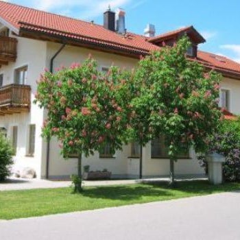 Pension Demmel, Bed & Breakfast