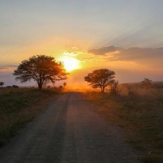 Osero Serengeti Luxury Tented Camp