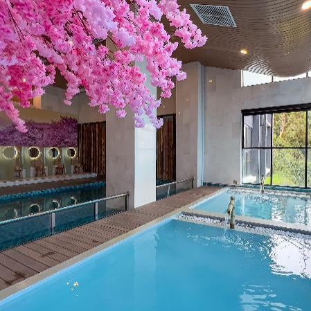 The Yanné, Onsen Hotel Thumbnail