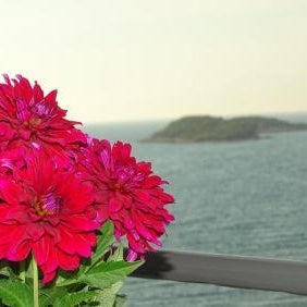 Hotel Meta Ksamil Thumbnail