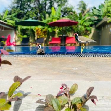 The Kingslayer Resort Thumbnail