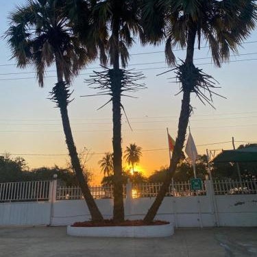 TETE PALM HOTEL Thumbnail