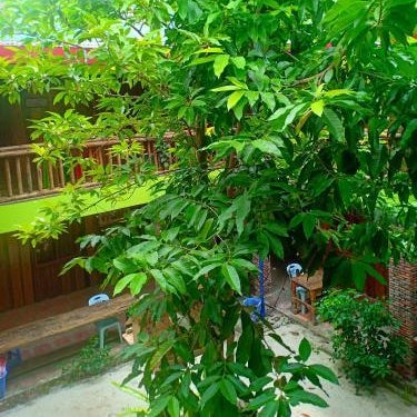 Villa Koh Rong Thumbnail