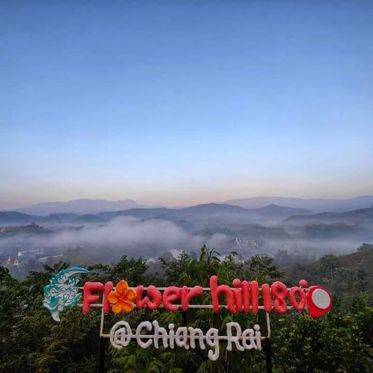 Flower hill 180 Thumbnail