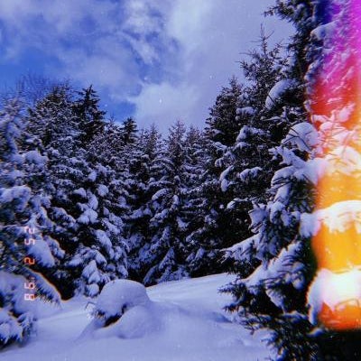 Mzetamze Forest Thumbnail