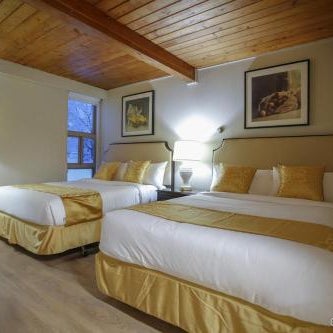 Grizz Hotel Thumbnail