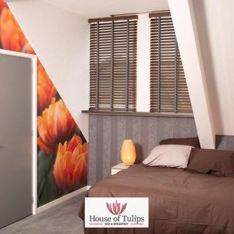 House of Tulips