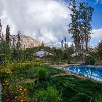 Chalet Seabuckthorn