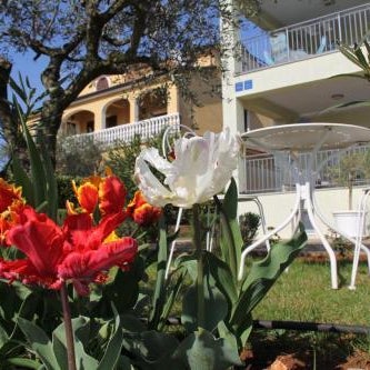 Apartments Villa Lili