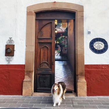 Hotel Casa Encantada Thumbnail
