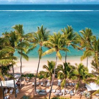 Ness by D-Ocean Thumbnail