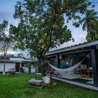 The Avocado Inn Thumbnail