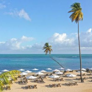 Hyatt Regency Grand Reserve Puerto Rico Thumbnail