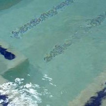 Best Western Helena - Capitol Hotel Thumbnail