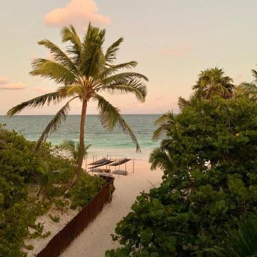 Libelula Tulum Beachfront Hotel Thumbnail