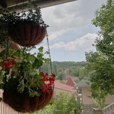 Apartmani Popovic