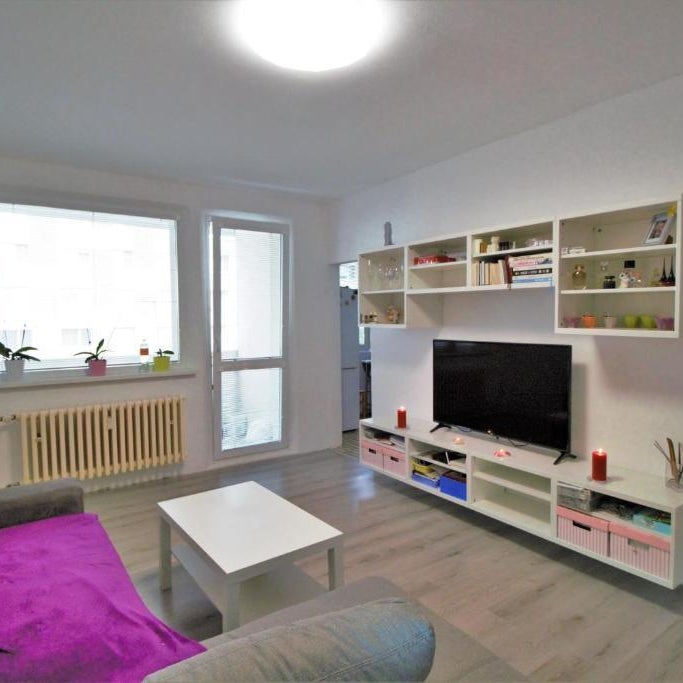 Cozy, bright room with free parking Thumbnail