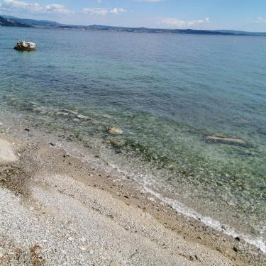 Grab a Flat in Coroneo