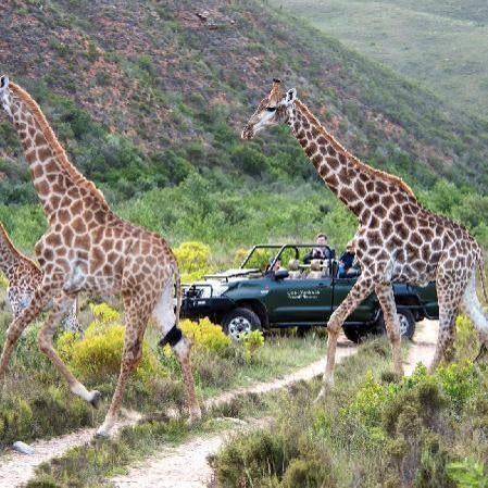 Gondwana Game Reserve
