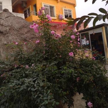 Madhukunda Homestay Thumbnail