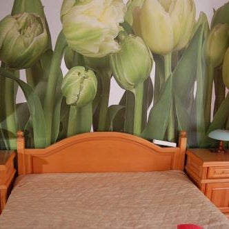 Stivan Iskar Hotel Thumbnail
