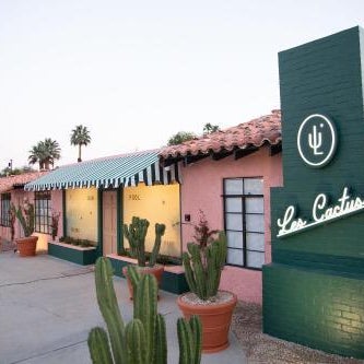 Les Cactus Thumbnail