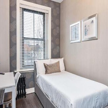 Suites At 143 Arlington Street Thumbnail