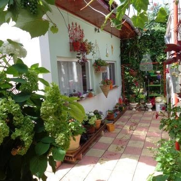 Casa Munteanu Thumbnail
