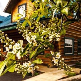 Dodge Peak Lodge Thumbnail