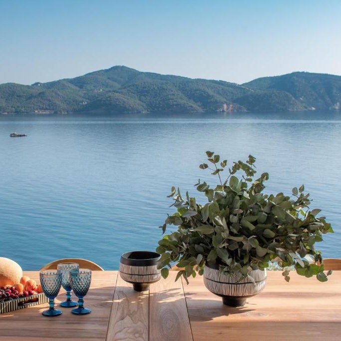 Villa myporos