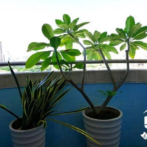 R8 Eco Hotel