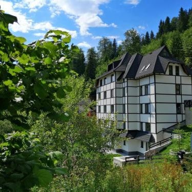 Vila Irina Kopaonik - Apartman Jovana