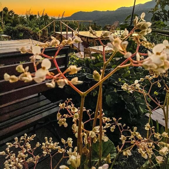 Casa 1800 Ataco Hotel Boutique Thumbnail