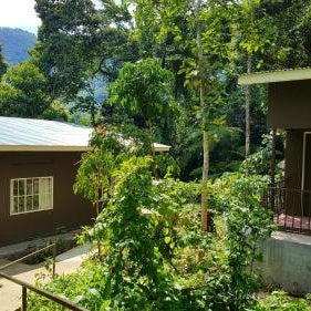 Bwindi Guest House