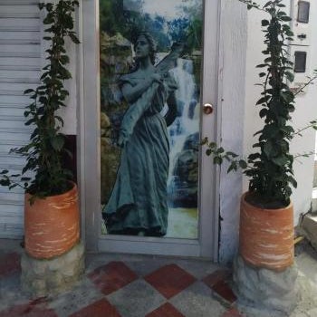 Hotel Policarpa