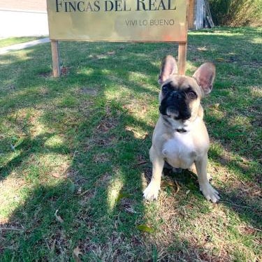 Fincas del Real Thumbnail