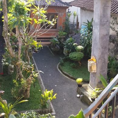 Pancer House Thumbnail