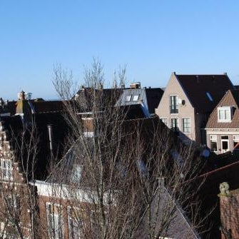 Art Hotel Harlingen