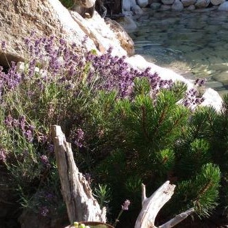 Apartments Cebelica - Bohinj Thumbnail