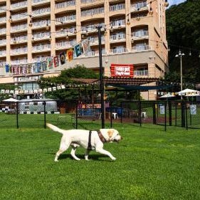 SONO PET CLUBS RESORTS VIVALDIPARK